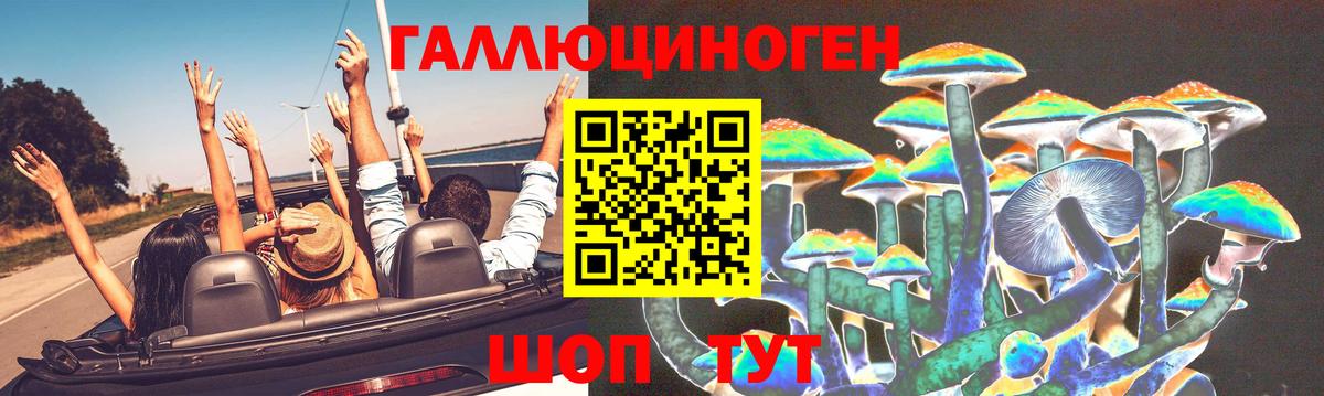 Псилоцибиновые грибы MAGIC MUSHROOMS  Вход с VPN  Нальчик 