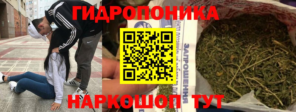 Марихуана OG Kush  Бошки Шишки индика  Нальчик  Каннабис THC 21%  Вход с VPN 